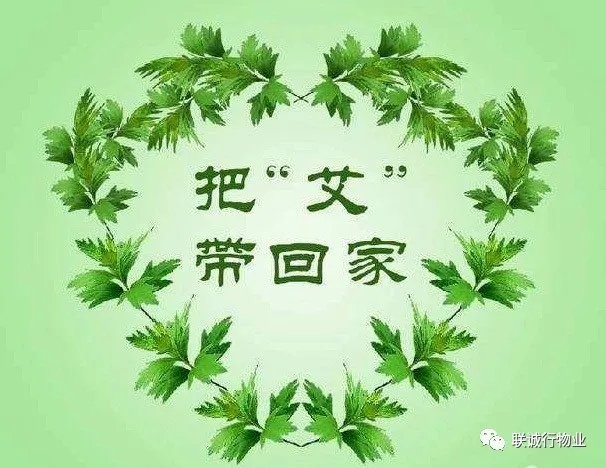 株株“愛意”（艾葉）草”，綿綿情意長