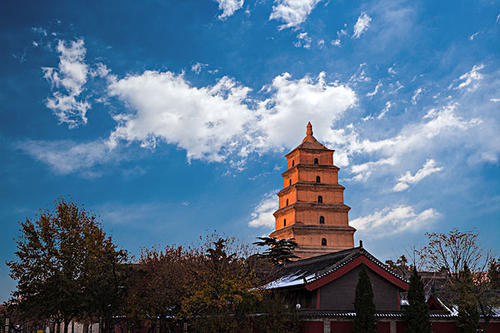 賞曲江美景，體驗(yàn)中國(guó)年