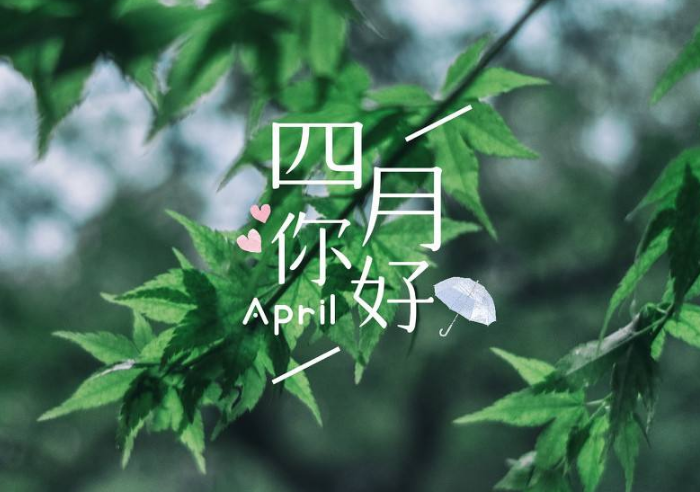 未來家園的一角