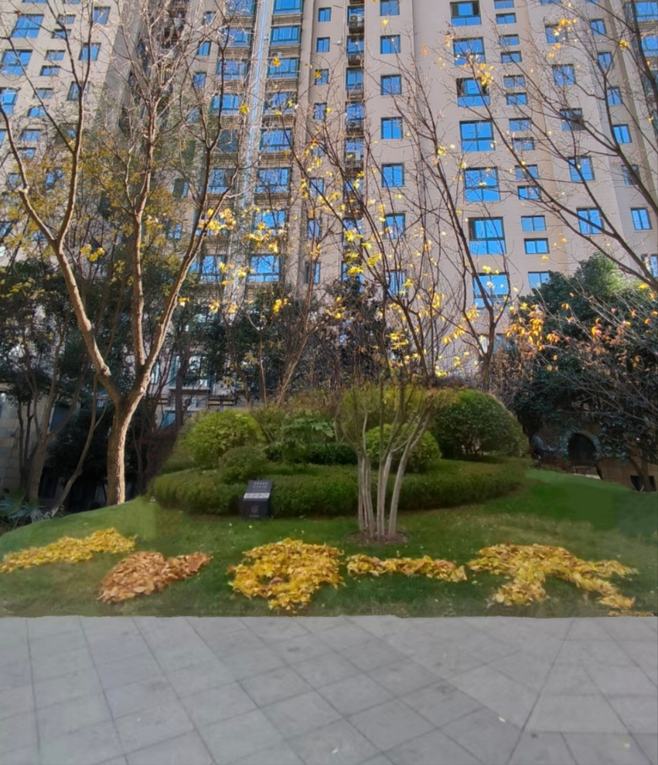 秋語寄愿，葉落成歡