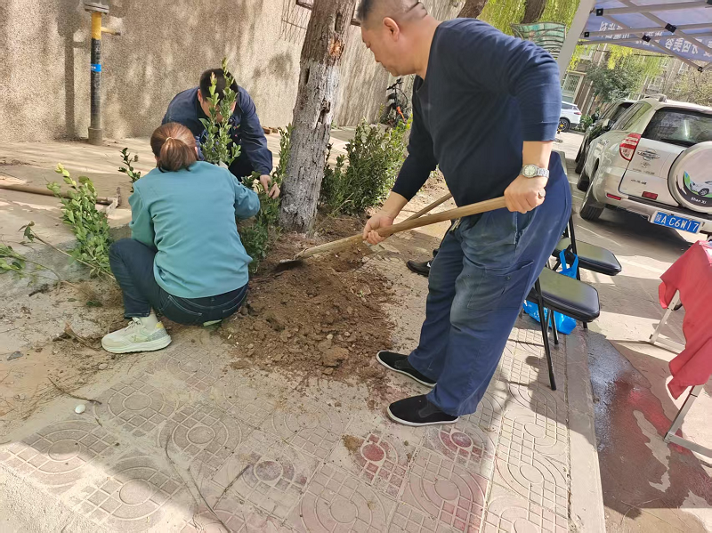 綠化補栽正當時