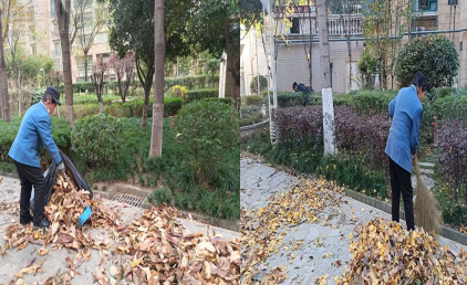 冬日里的溫暖：精耕細(xì)作的“園區(qū)守護(hù)者”