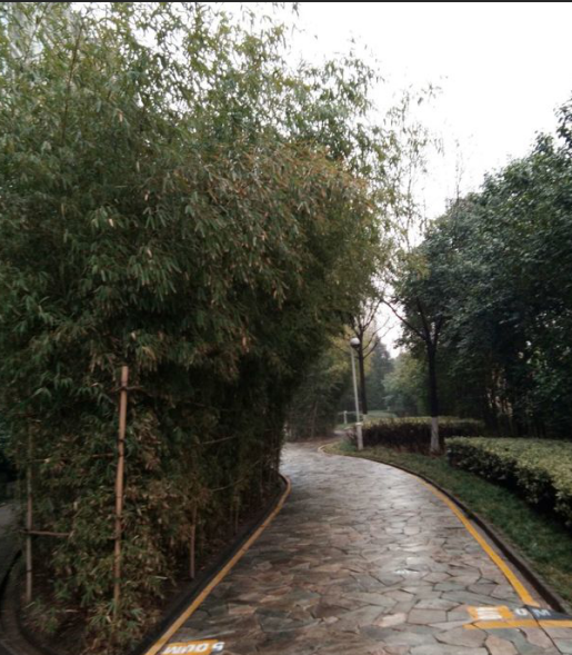 1594895643417457.png 圖片8.png