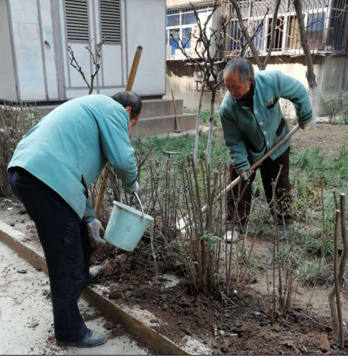 補(bǔ)栽花木，播種希望