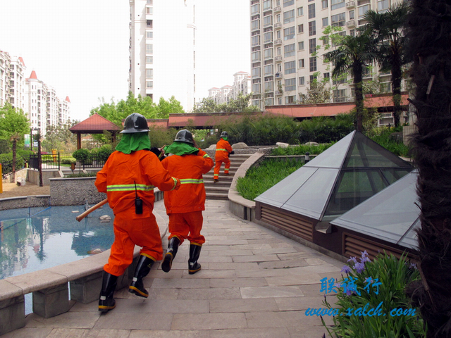 1595241341950427.png 圖片2.png