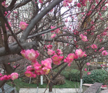 1595408712129263.png 圖片65.png