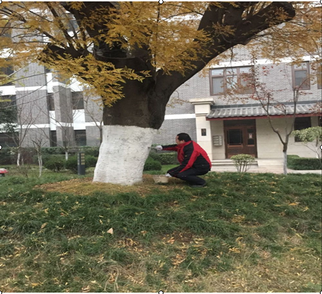 1595471165486596.png 圖片14.png