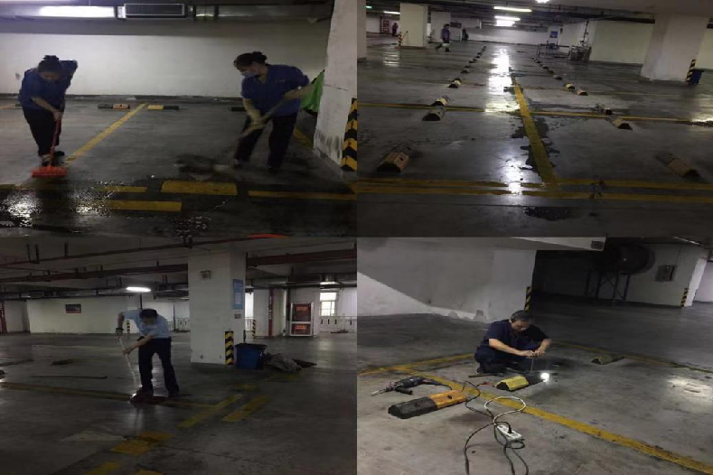 摩頂放踵，守護(hù)家園