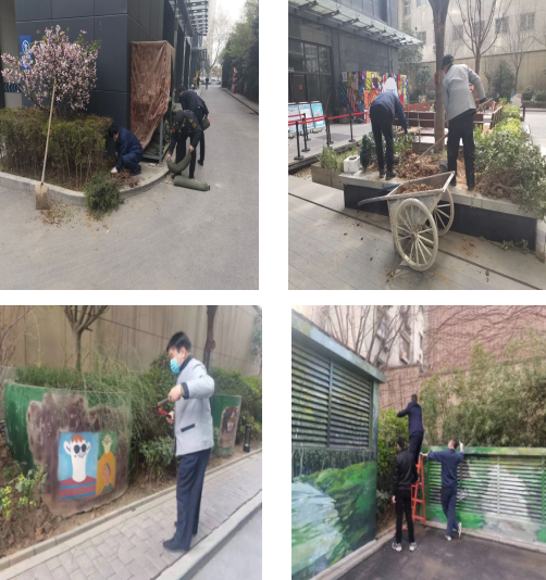 春風習習惹人醉，物業(yè)綠化養(yǎng)護忙