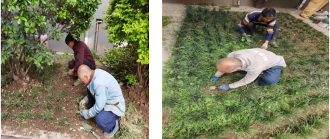 構(gòu)建美好家園&mdash;&mdash;打造綠色小區(qū)