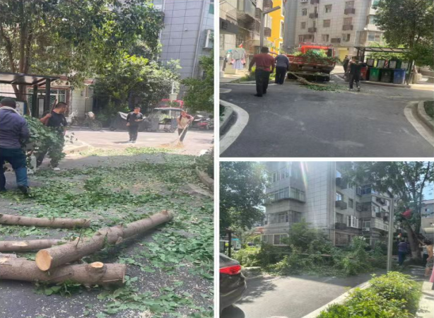 1692870601262460.png 1692870601262460.png