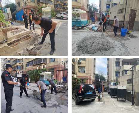  八月向陽(yáng)而生