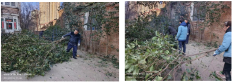 修剪樹枝除隱患 美化環(huán)境保安全