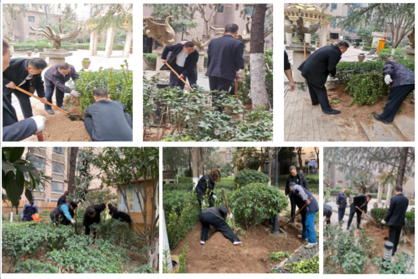 綠意盎然 美麗共享