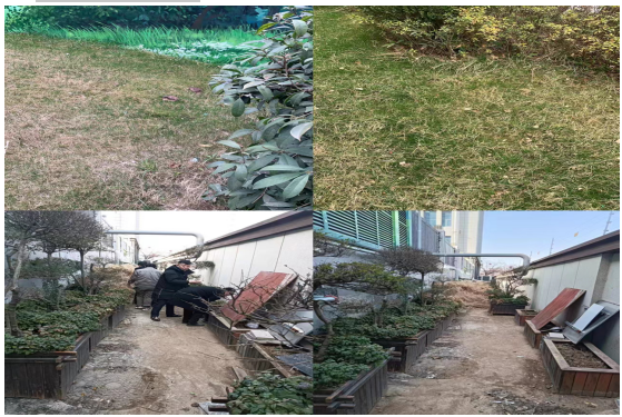 1712733795701432.png image.png