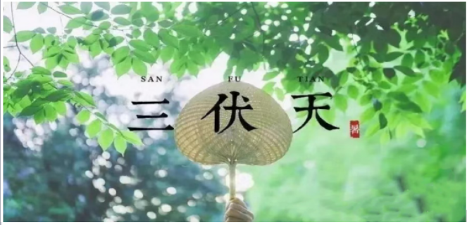 &ldquo;三伏&rdquo;駕到，科學防暑