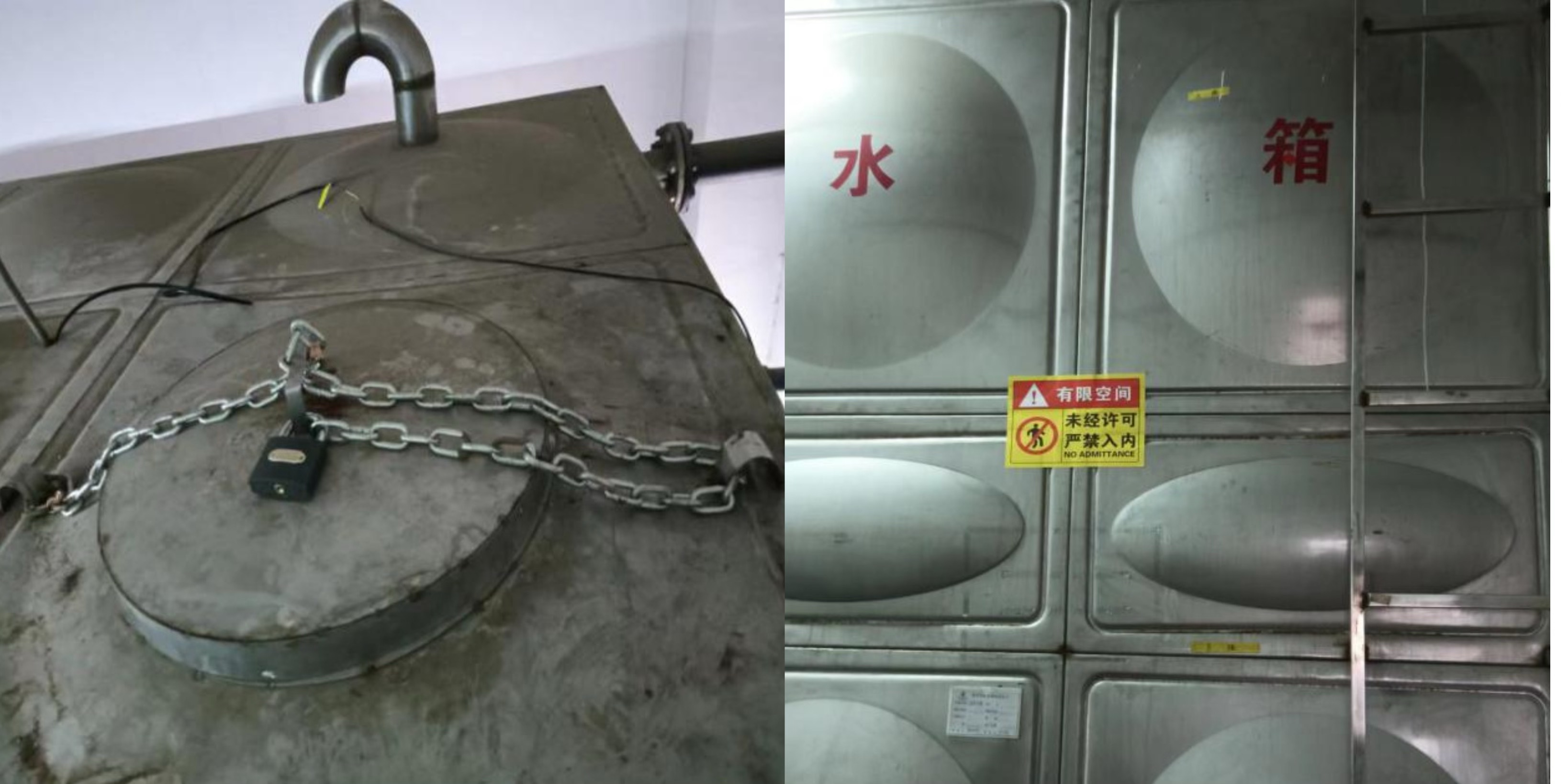 1729321502575649.jpg 5b003666-5ea3-4e0e-849e-53ab7bba884d.jpg