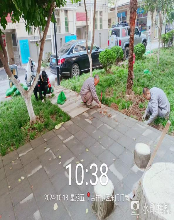 綠化養(yǎng)護花木清理衛(wèi)生死角