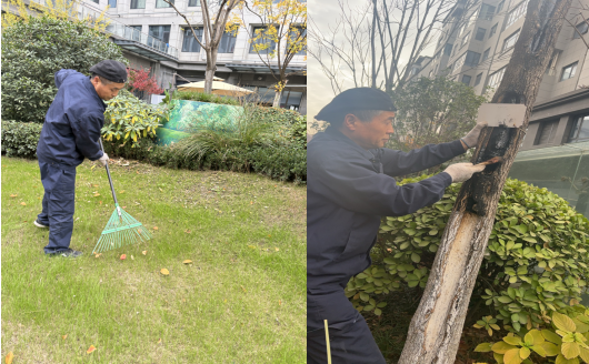 1733969016916688.png 1733969016916688.png