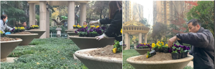 1734598693141463.png image.png