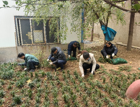 補栽增綠 我們在行動