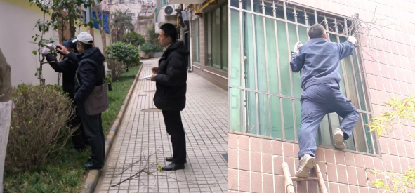 1740725410572581.png 1740725410572581.png