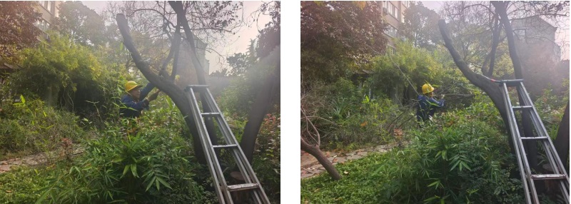 1762999153256796.jpg 企業(yè)微信截圖_17629990954827.jpg